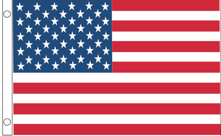USA Whip Flag